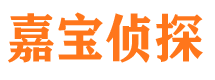 东河侦探调查公司